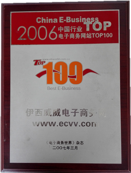 2006中国行业电子商务网站TOP100