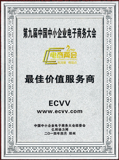 第九届中国中小企业电子商务大会最佳价值服务商